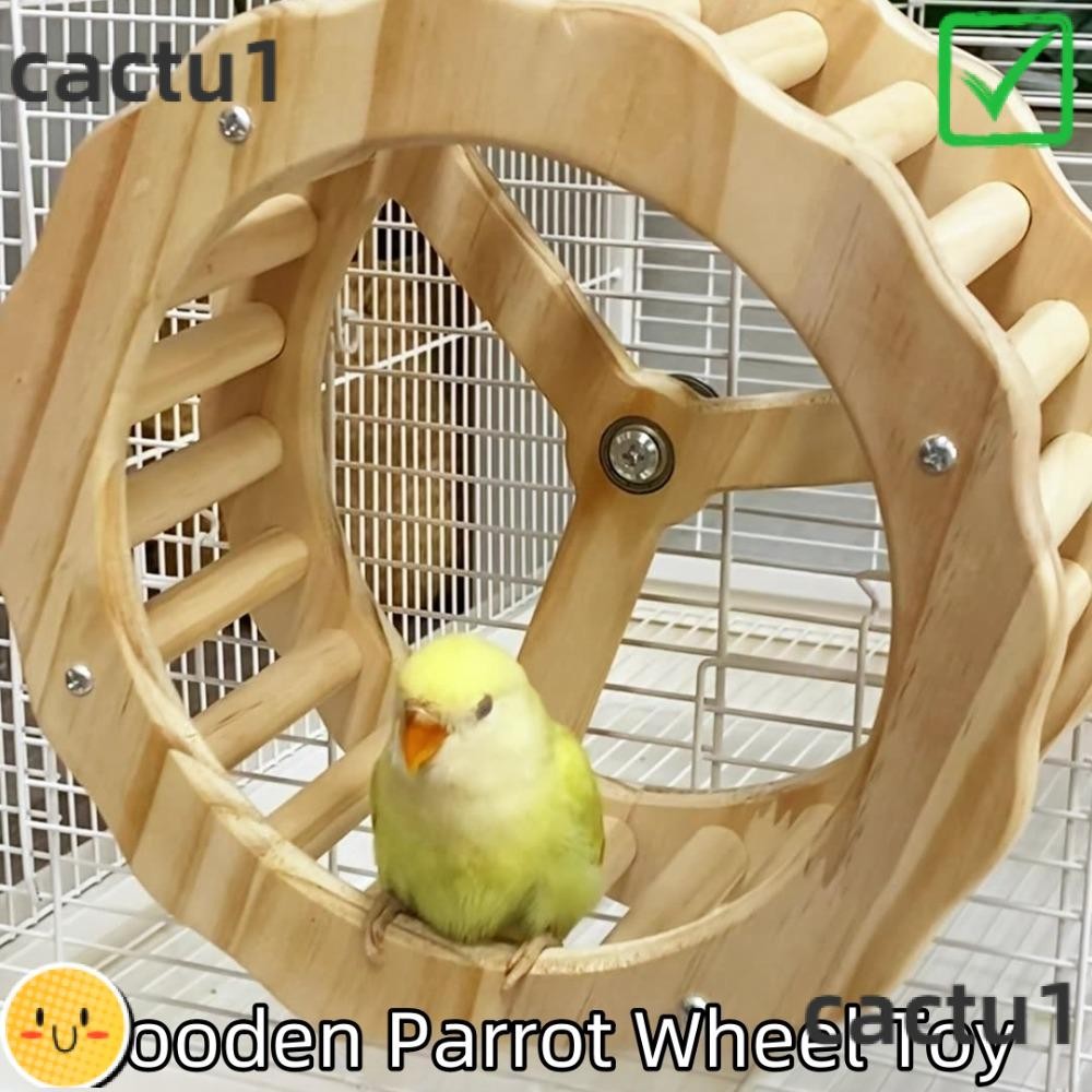 DIEMON Parrot Wheel Toy, Wooden Easy to Install Spinner Wheel, Durable ...