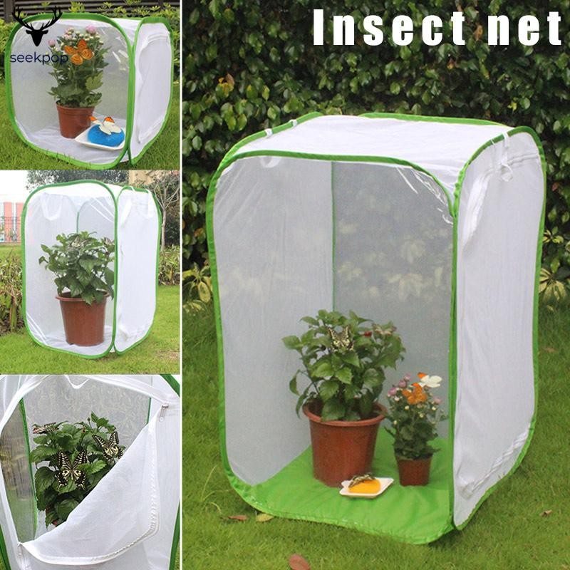 Foldable Insect-proof Habitat Seedling Cage Monarch Butterfly Pet Cage ...