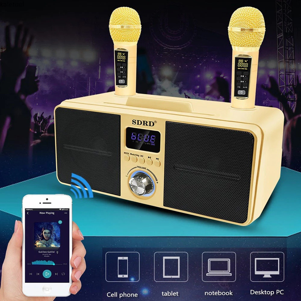 30W Wireless Bluetooth Dual Microphone Karaoke Portable 3D Stereo ...
