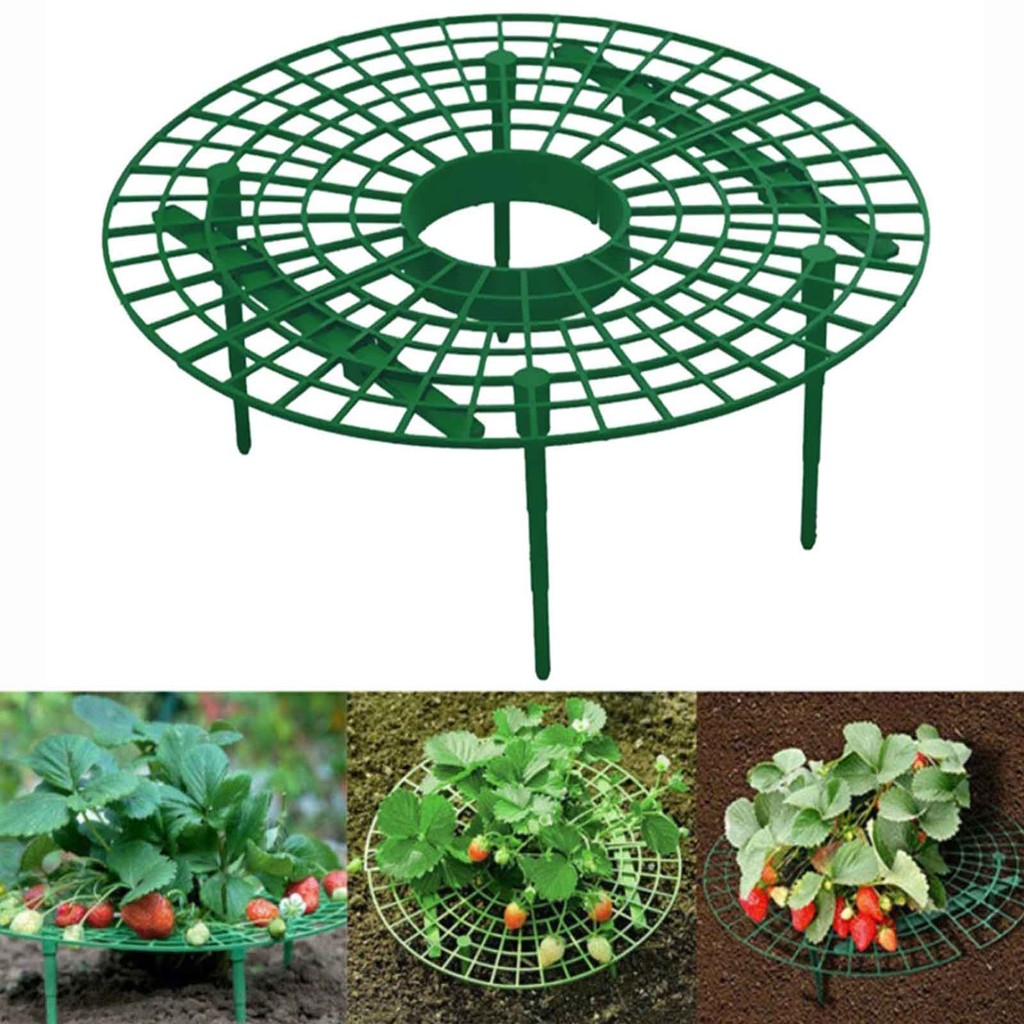 YT Garden rack strawberry rack rack balcony planter rack fruit support ...
