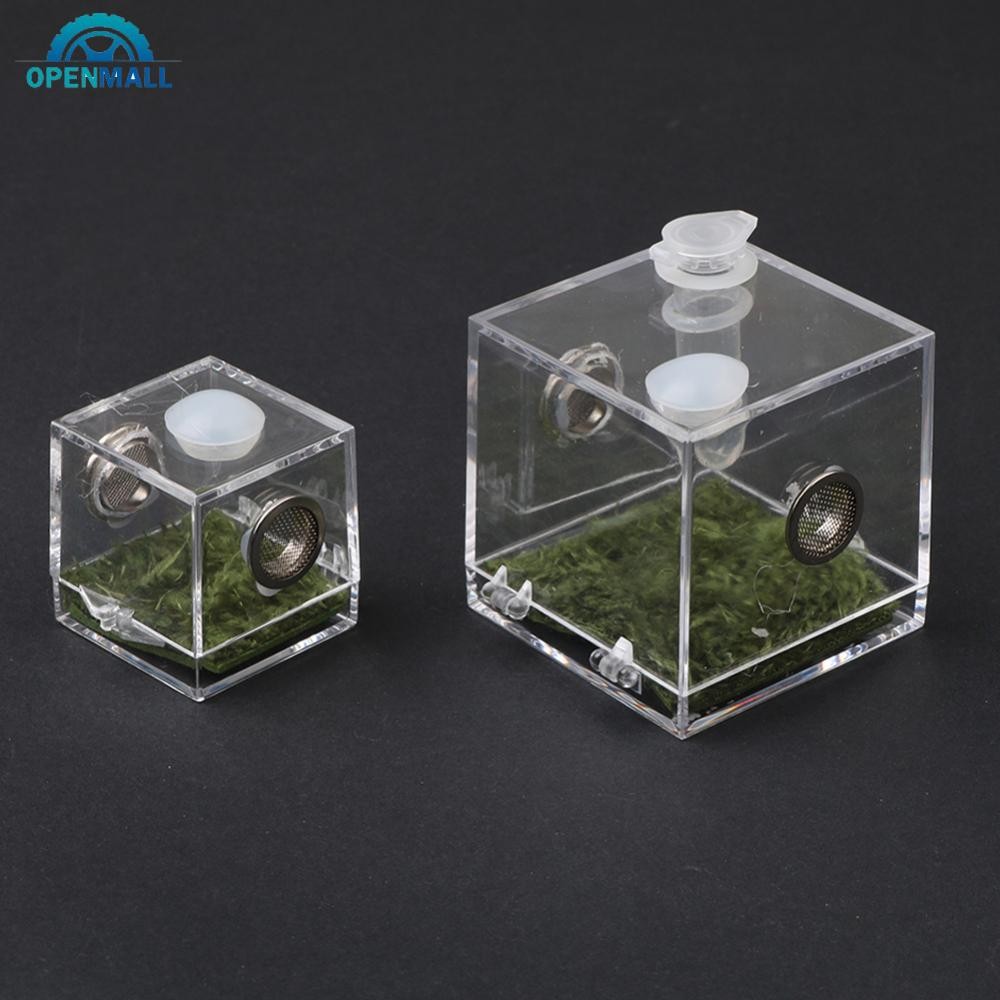 OPENMALL 1set Insect Breathable Terrarium Ant Farm Water Feeder Spider ...