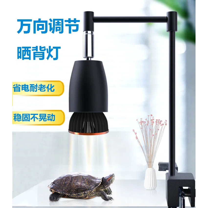 Full Spectrum Turtle Back Light Sun Light Calcium Supplement ...
