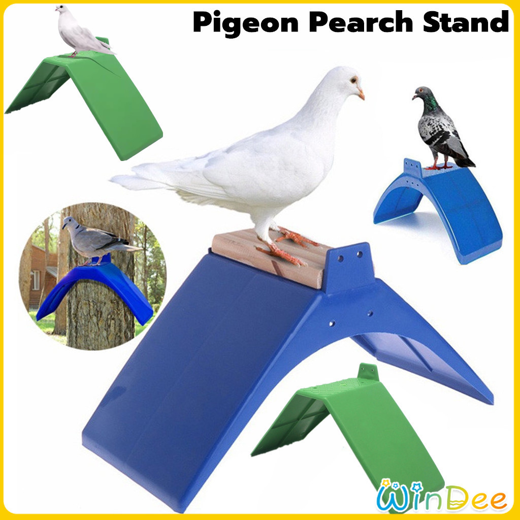 Pigeon Rest Stand Parrots Perch Frame Dove Dwelling Bird Plastic tand ...