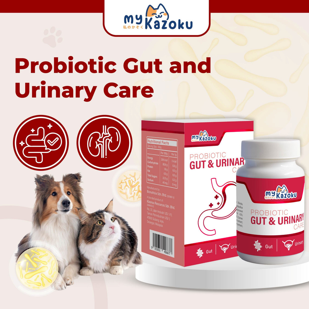 Cat Uti And Probiotics Reference: Mykazoku Probiotics Gut And Urinary Tract Care 100G Dogs Cats