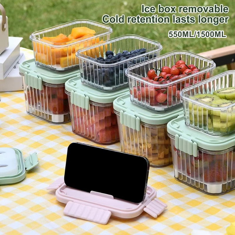 Portable Sealed Crisper Box with Handle, Outdoor Picnic Box ...