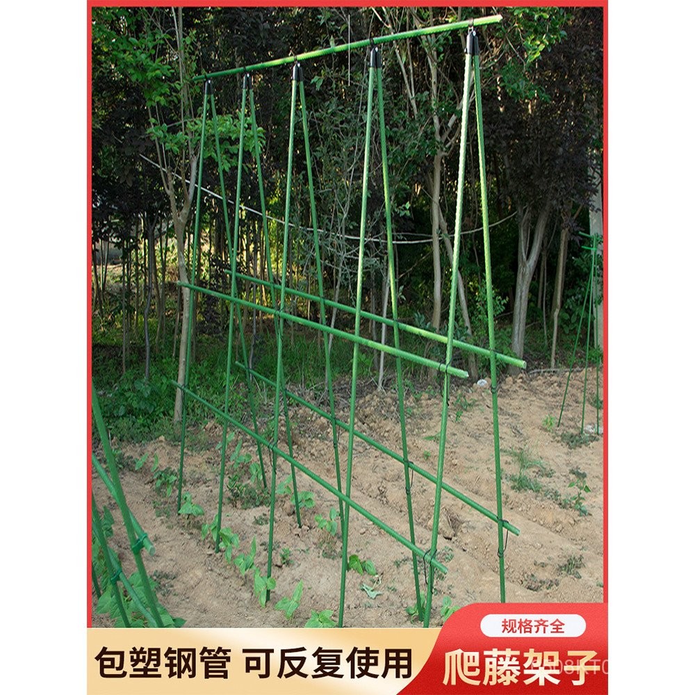 Climbing Garden Plastic Steel Pipe Planting Cucumber Trellis Support ...