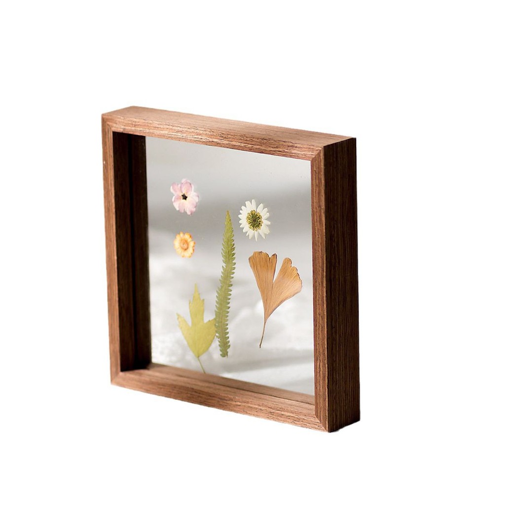 Double-Sided Glass Photo Frame Plant Specimen Box Photo Frame of ...