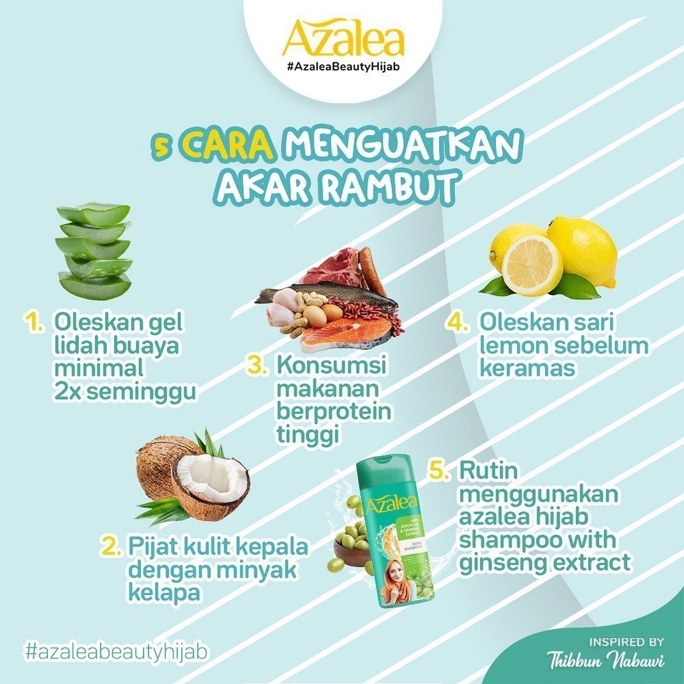 Azalea Shampoo Citrus Extract - Zaitun Oil & Habbatussaudah Oil / Merah Jingga Official - Gambar 4