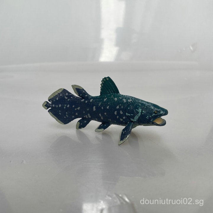 Bulk Cargo Ancient Fish Museum Ancient Fish Marine Life Spearfish Model ...
