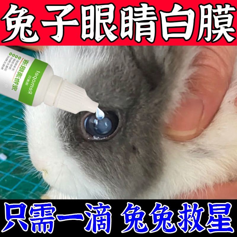 现货spotEmergency white rabbit eyes inflammation membrane irritation ...