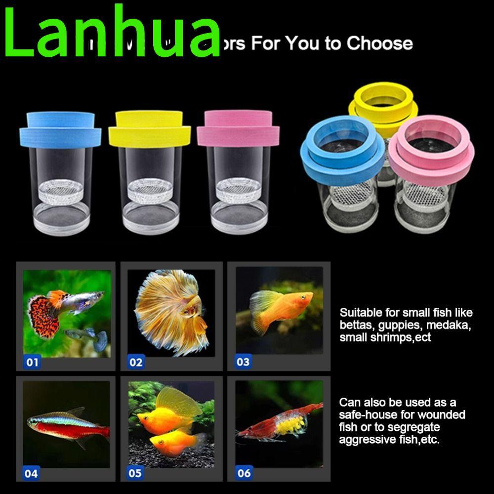 LANHUA Floating Hatching Box, Aquarium Breeder Transparent Floating ...