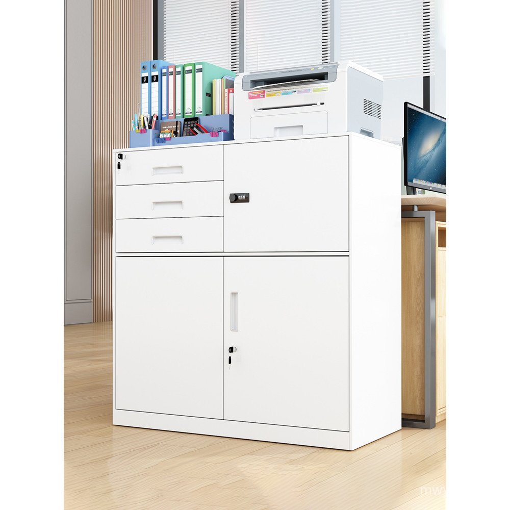 Lockable File Cabinet my Metal Printer Data Cabinet External Low ...