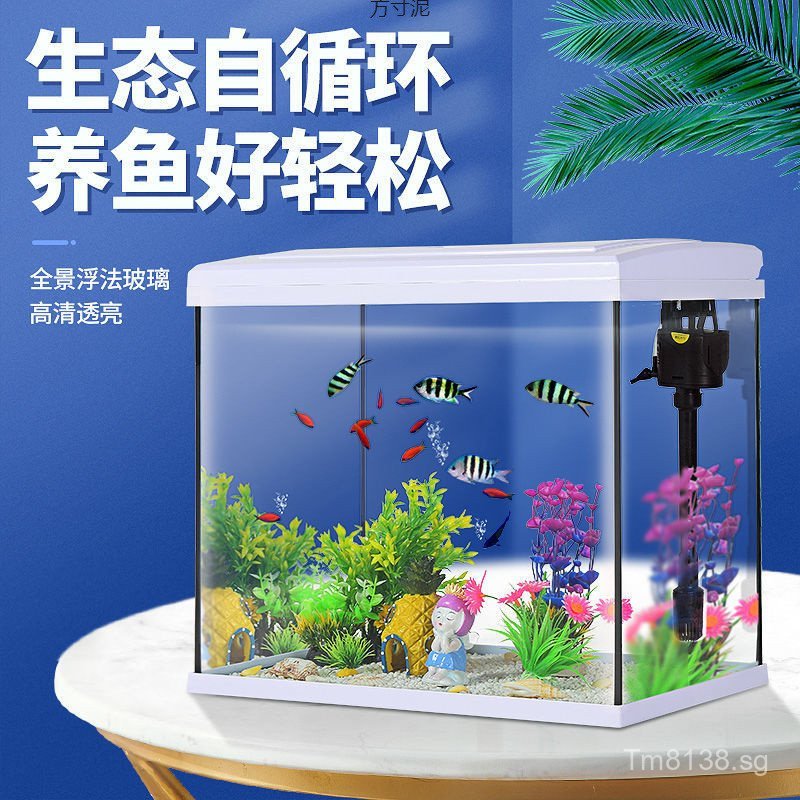 Curated visual reference: Fresh Look at Eco Friendly Small And Medium Glass Aquarium Fish Tank No