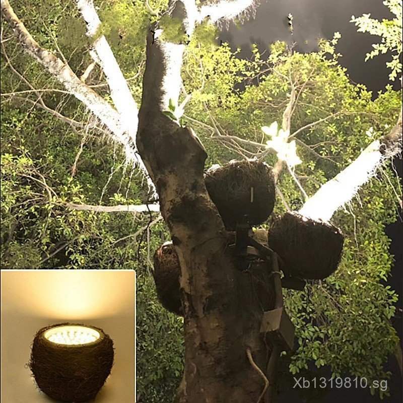 Tree Spotlight Tree Lighting Round Spotlight led Waterproof Colorful ...