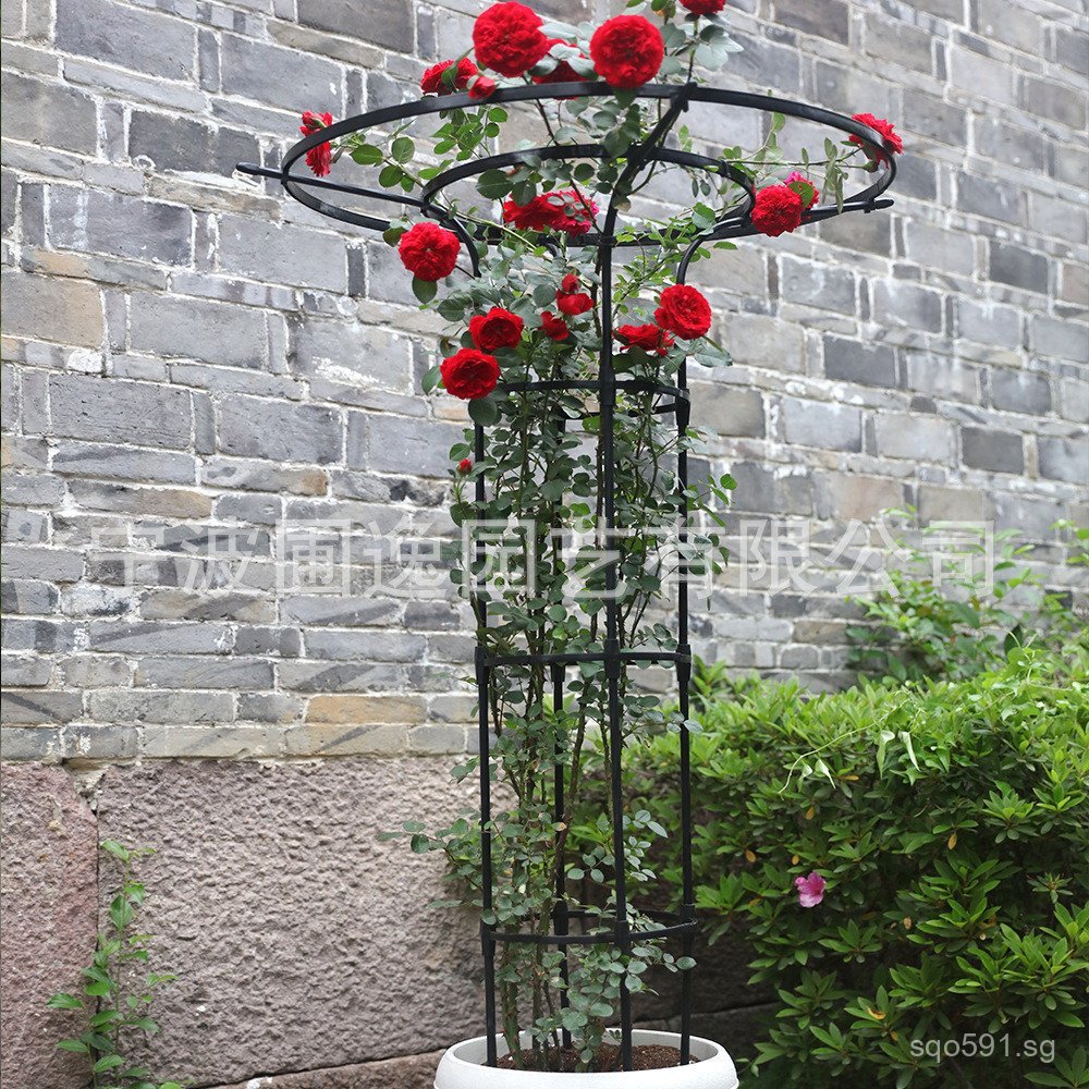 Rose Clematis Support Iron Art Flower Climbing Frame Umbrella-shaped ...