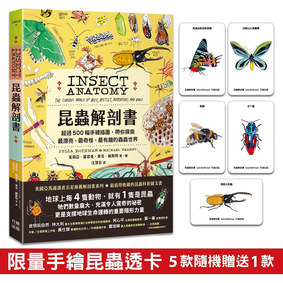 Insect Anatomy Book: More Than 500 Hand-Drawn Illustrations Take You To ...
