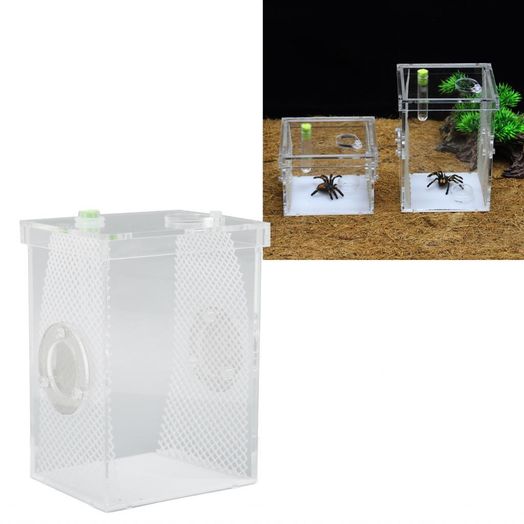 Reptile Insect Enclosure Tank Acrylic High Transparency Multipurpose ...