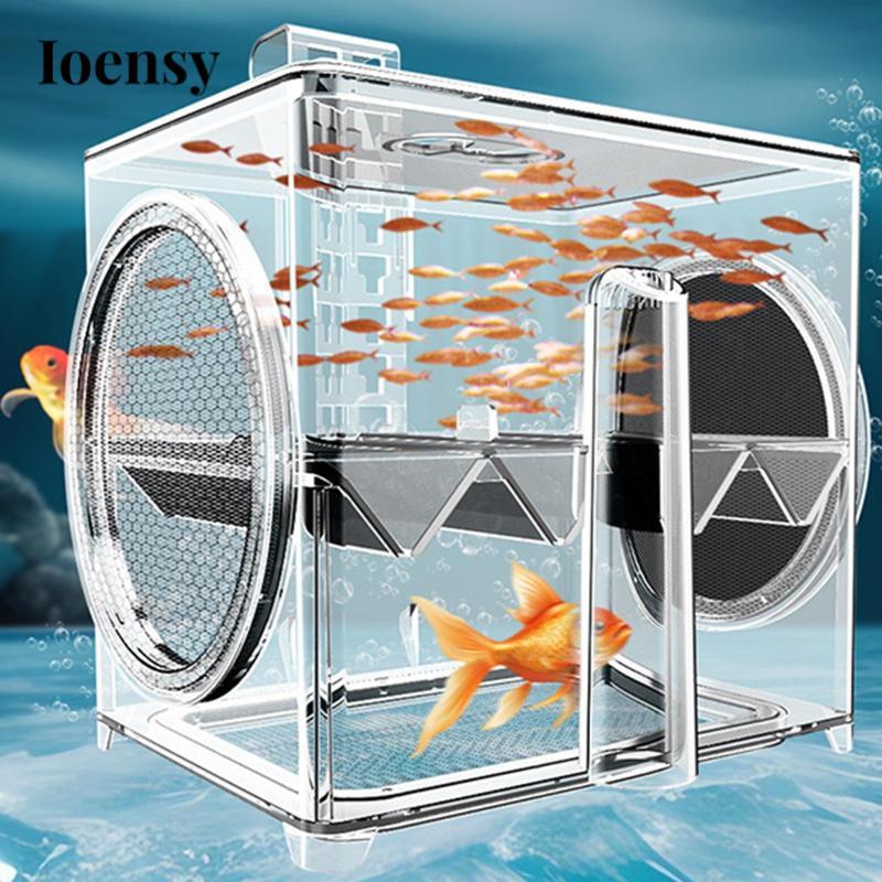 Ioensy Aquarium Fish Breeder Box Fish Tank Hatchery Aquarium Feeding ...