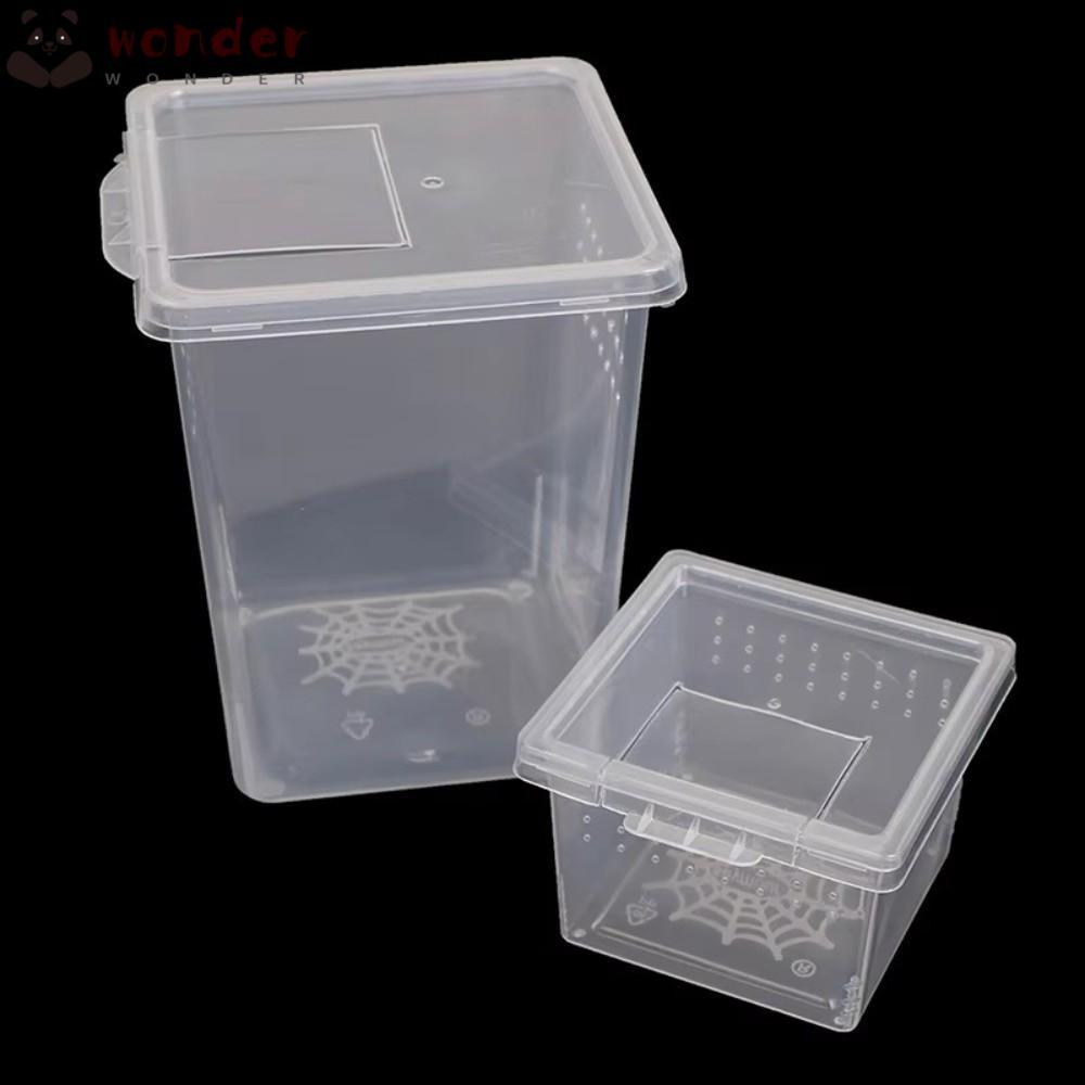 WONDER Reptile Habitat, Food Feeding Plastic Reptile Living Box ...