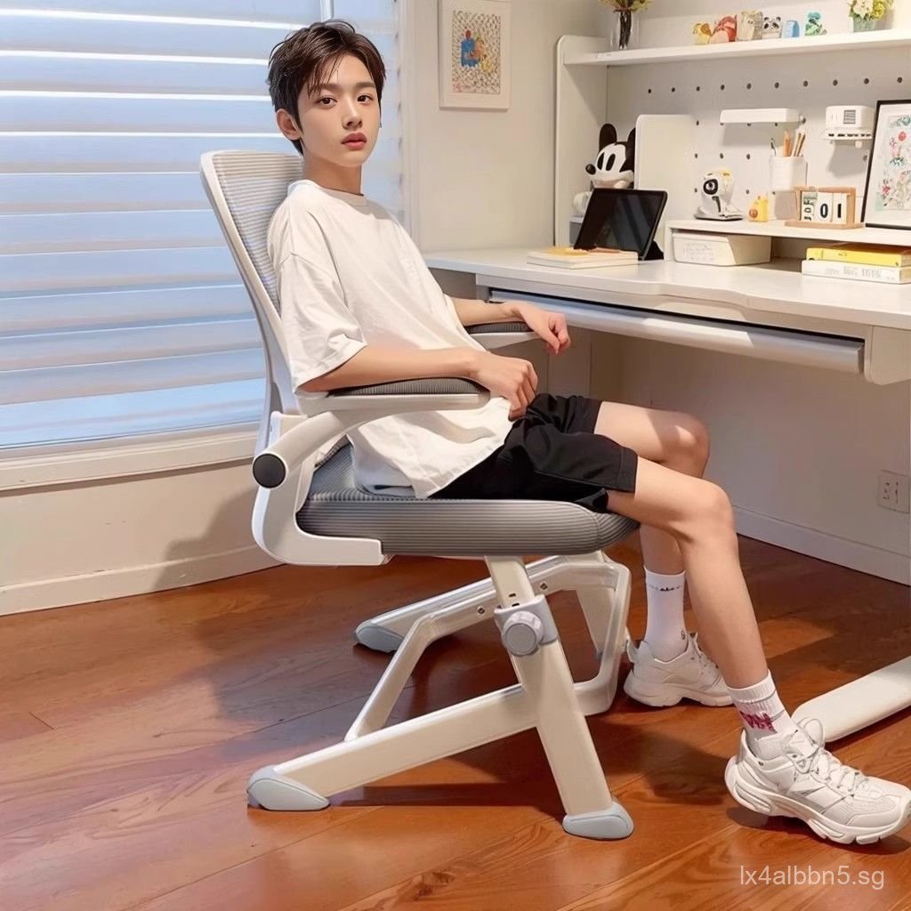 Youth High School and Middle School Student Special Writing Desk Chair ...