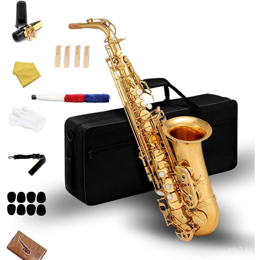 Pin Electrophoresis Gold Drop E Complete set of alto saxophone ...
