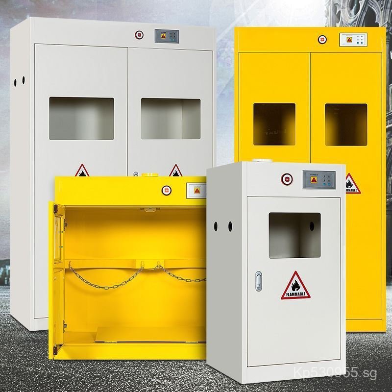 Double Bottle Gas Cylinder Cabinet All-Steel Alarm Safety Cabinet ...