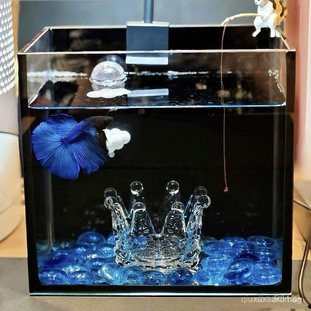 T Thailand Betta Mirror Glass Crown Betta Rest Bed Sea World Fish Tank ...