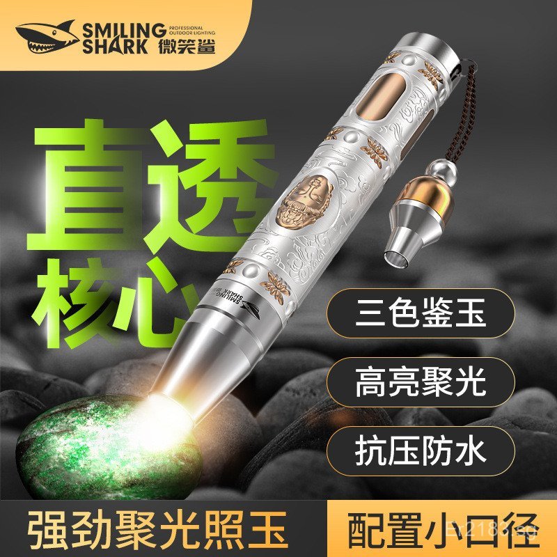 Incubation Rechargeable High Brightness Inspection Flashlight LED Cold ...