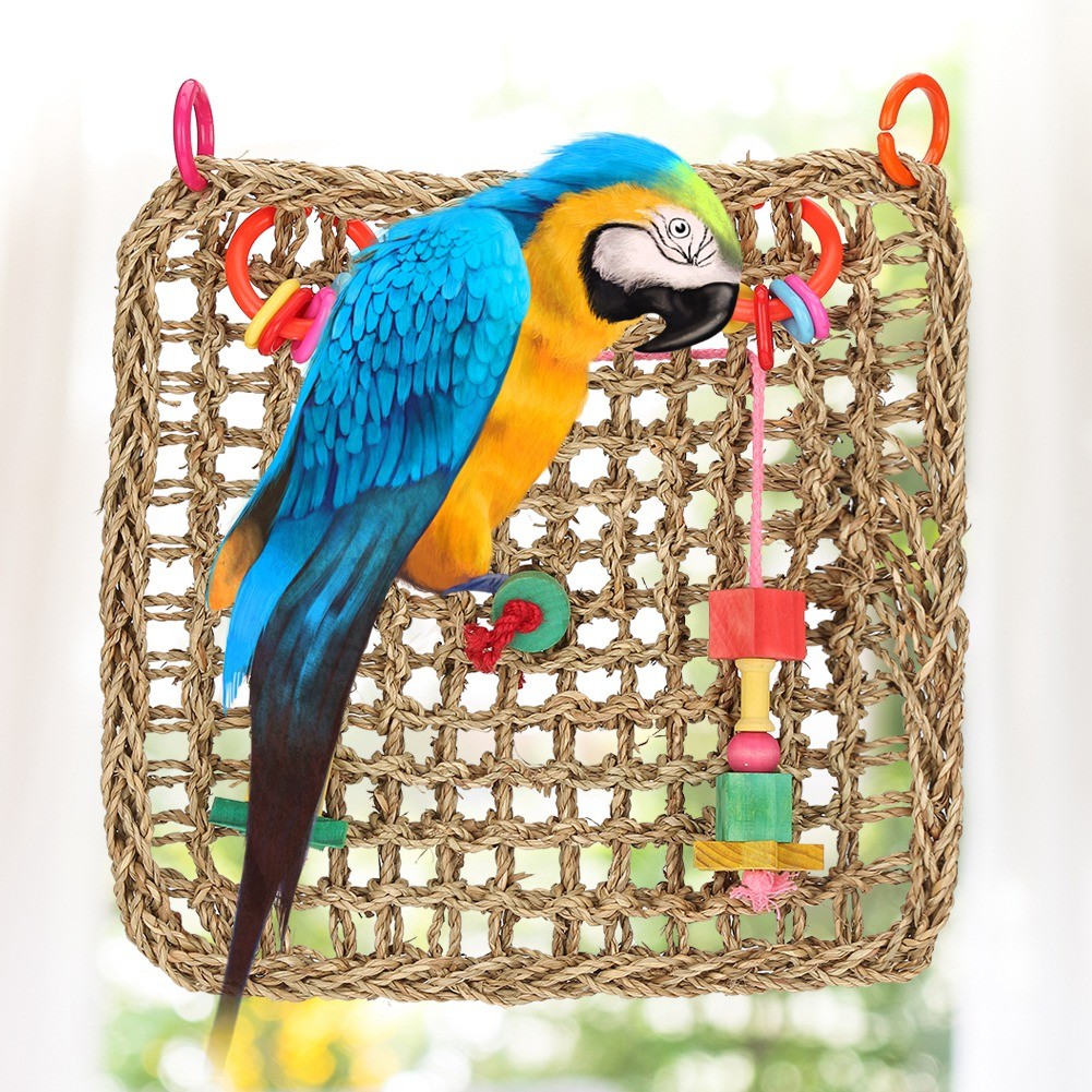 Curated visual reference: Floorr Bird Chew Toy Natural Seagrass Exercise Entertainment Toys Photo Inspiration