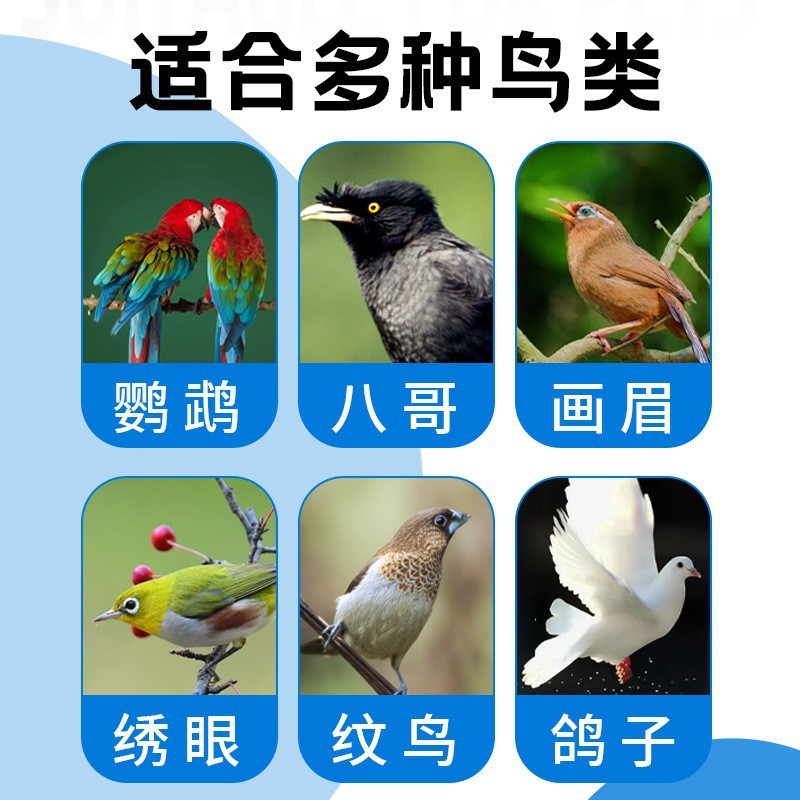 An Chongle Bird Drop Eye Drop Eye Drop Eye Drop Eye Drop Eye Drop Eye ...