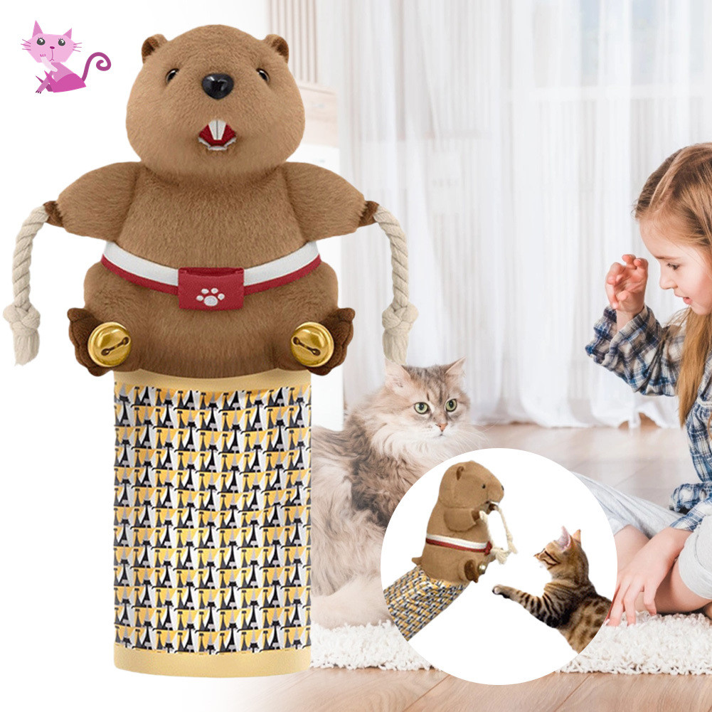 Aggressive Cat Play Redirection Glove Redirects Destructive Play ...