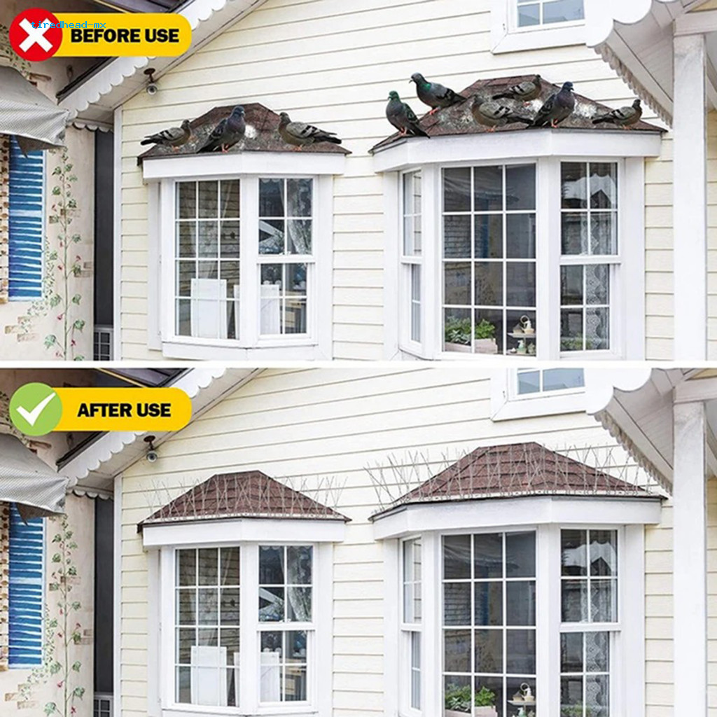tiredhead Business Sign Bird Protection Anti Bird Spikes Stainless ...