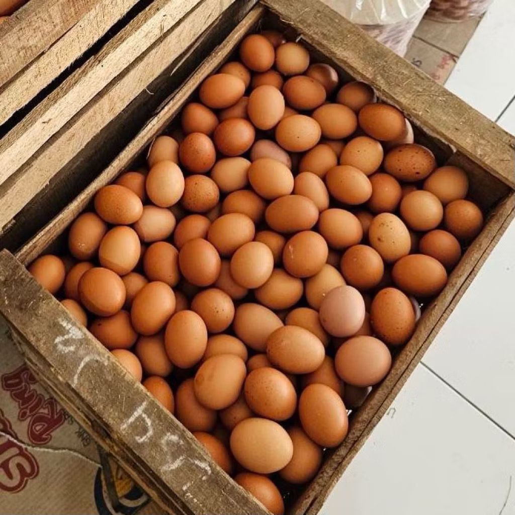 Telur ayam negeri 1kg INSTAN SOLO - Gambar 2