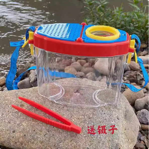 Children Outdoor Explore Insect Observation Box Tadpole Butterfly ...
