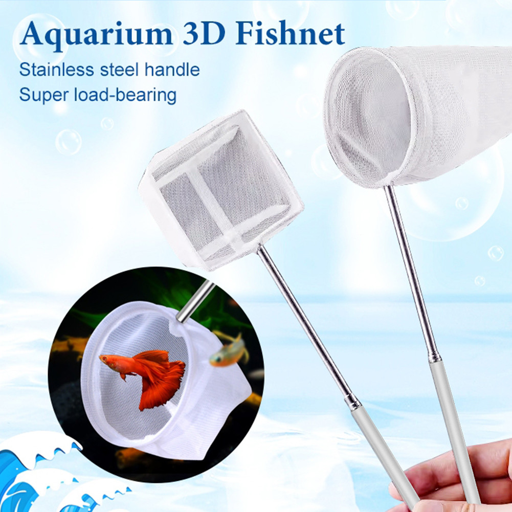 Telescopic Stainless Steel Fish Net for Aquariums, Skimming, and Small ...