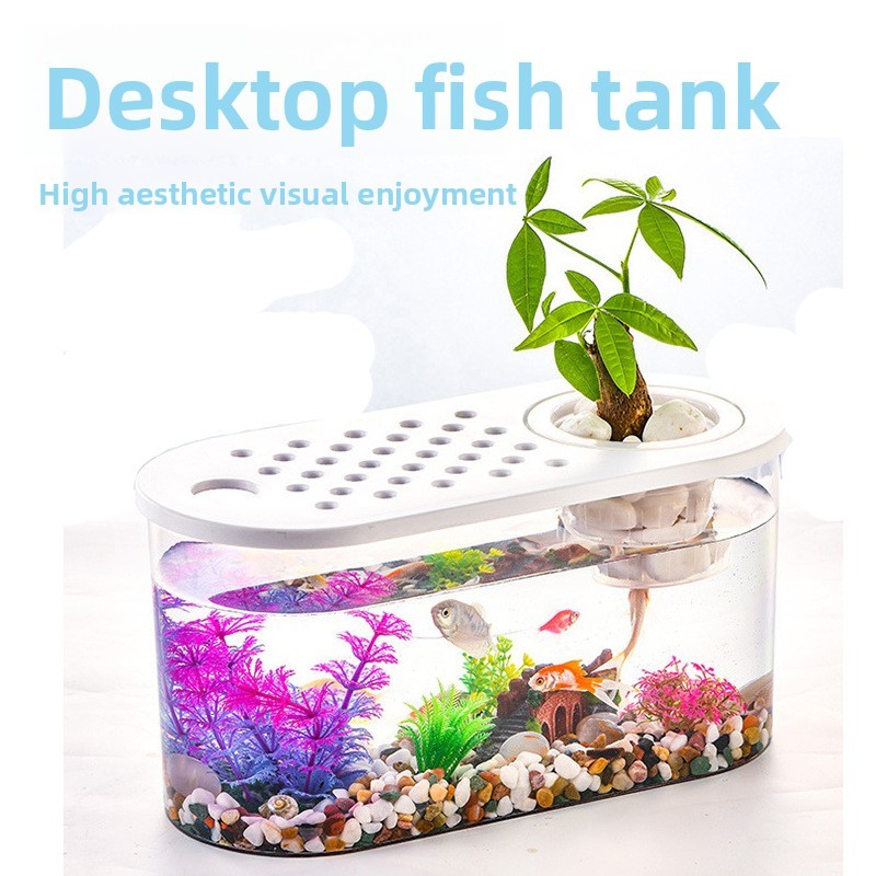 Beautiful view of Micro Aquarium Concepts