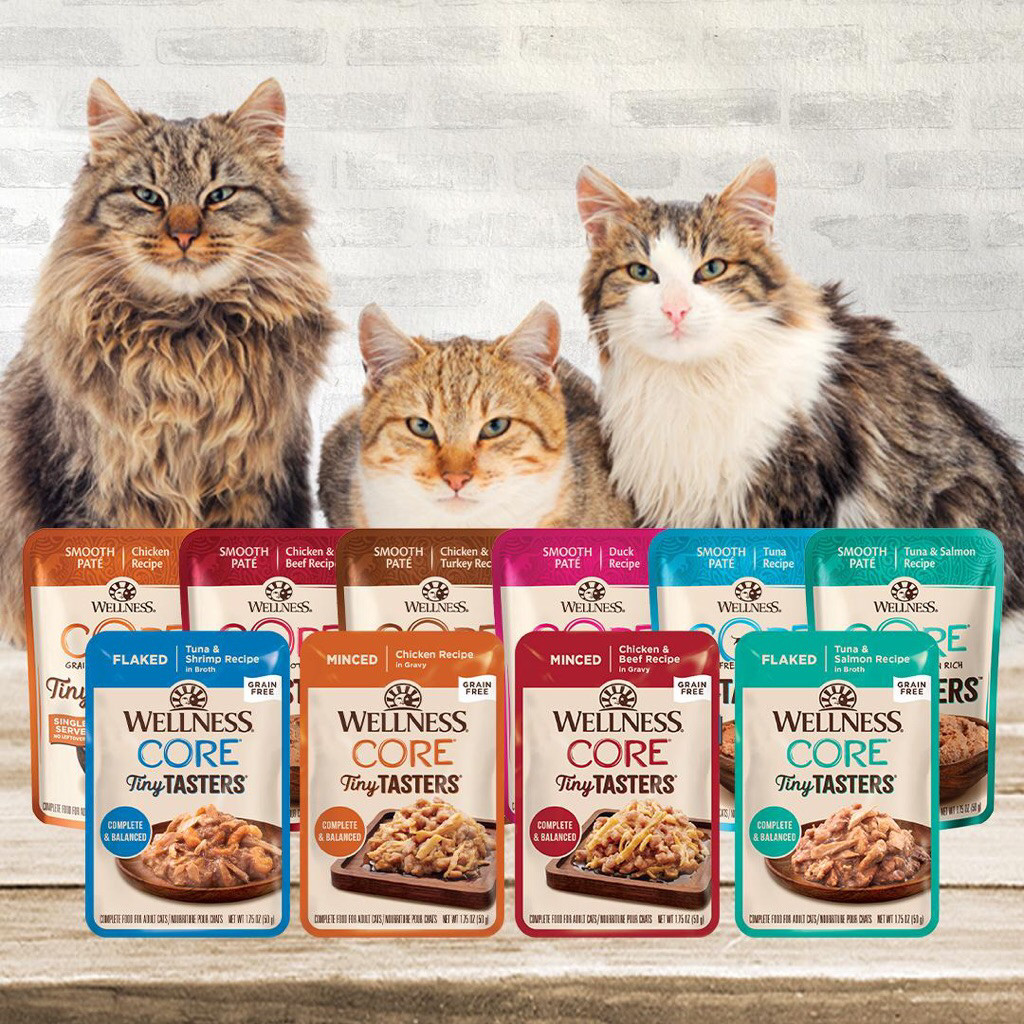 Wellness Cat Core Tiny Tasters 1.75oz (12 pouches) | Shopee Singapore
