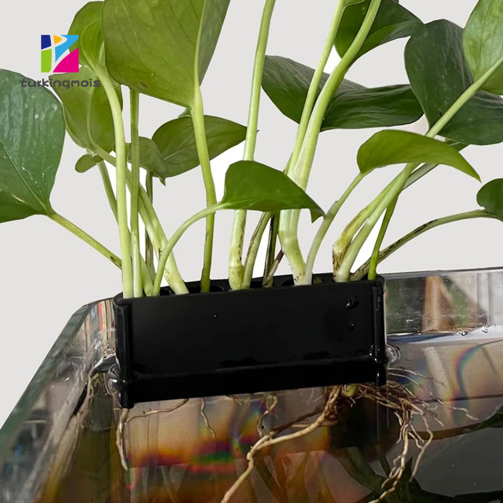 ZTUR_ Hanging Planter Hydroponic Storage Rack for Fish Tank Aquaponic ...