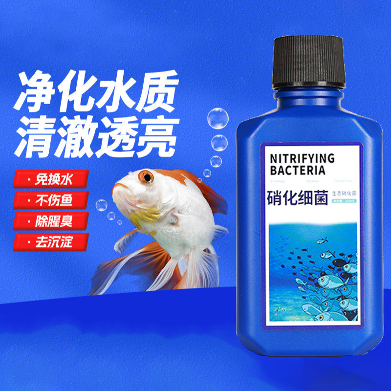 Nitrifying Bacteria Fish Tank Water Purifier Fish Medicine Fish Culture ...