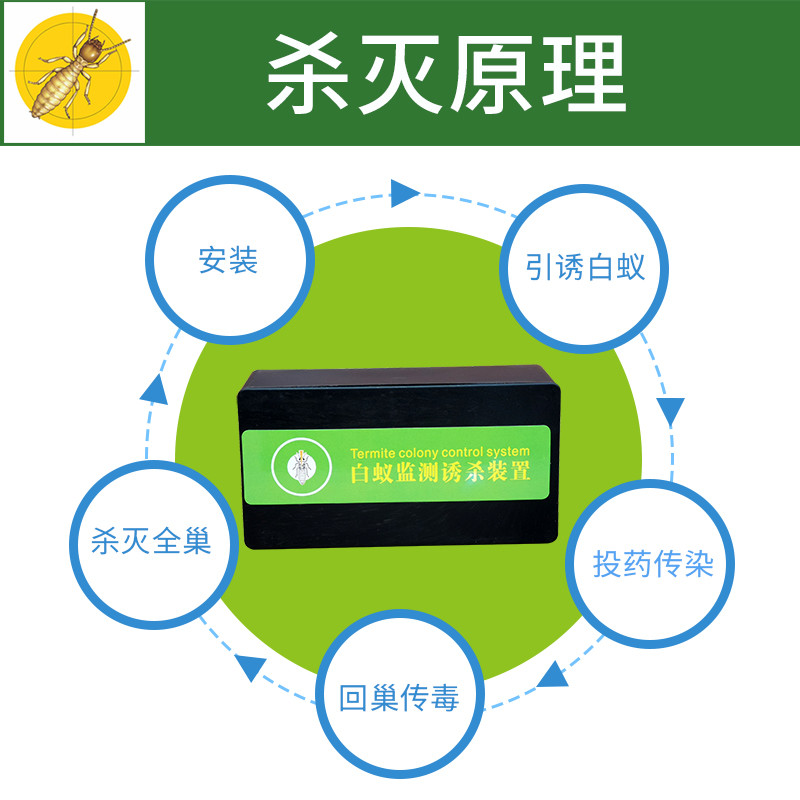 Kangzi Indoor Termite Detector Termite Medicine Bait Box Treatment ...