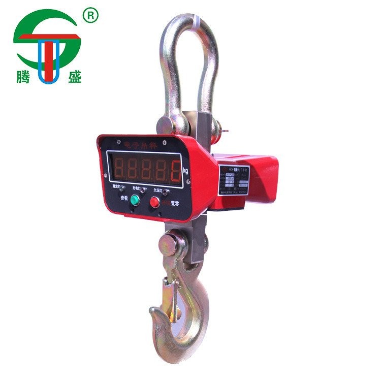 Crane Scale Lifting Direct View Crane Scale OCS-10 Direct Factory10 ...