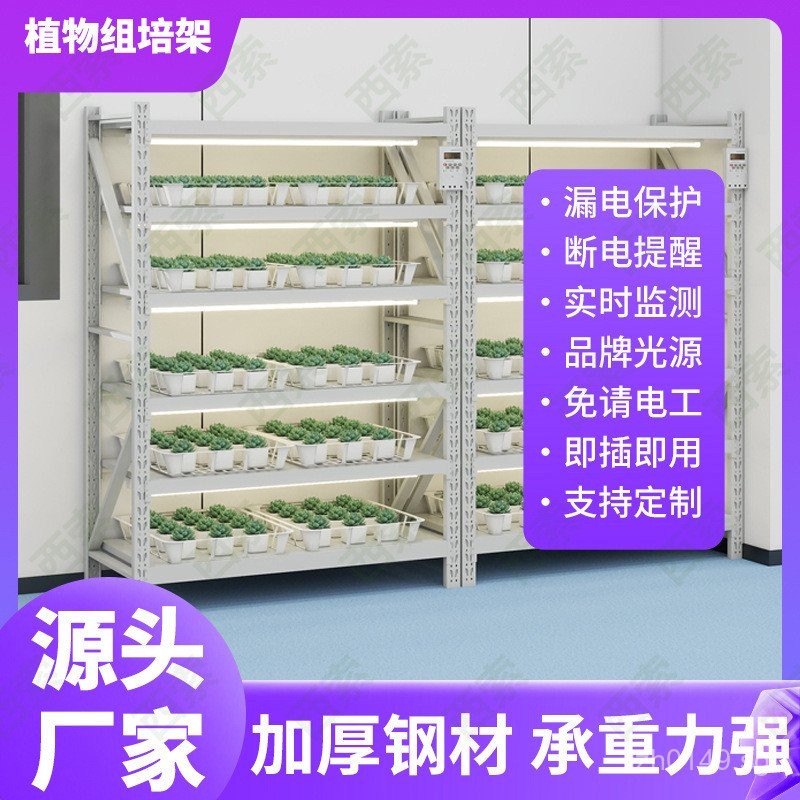 Plant Culture Laboratory Vegetable Light Cultivation Rack Shelf ...