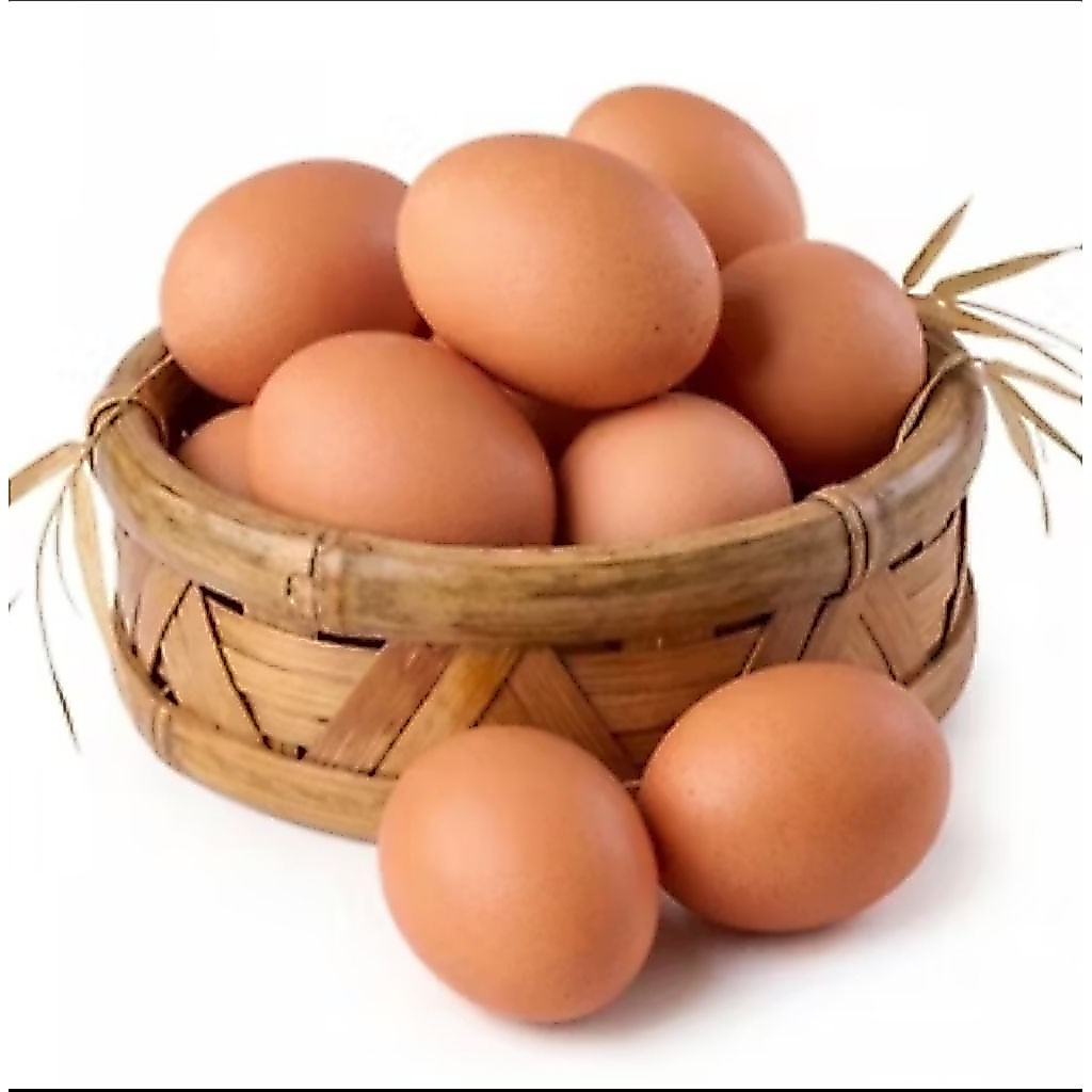 Telur ayam negeri