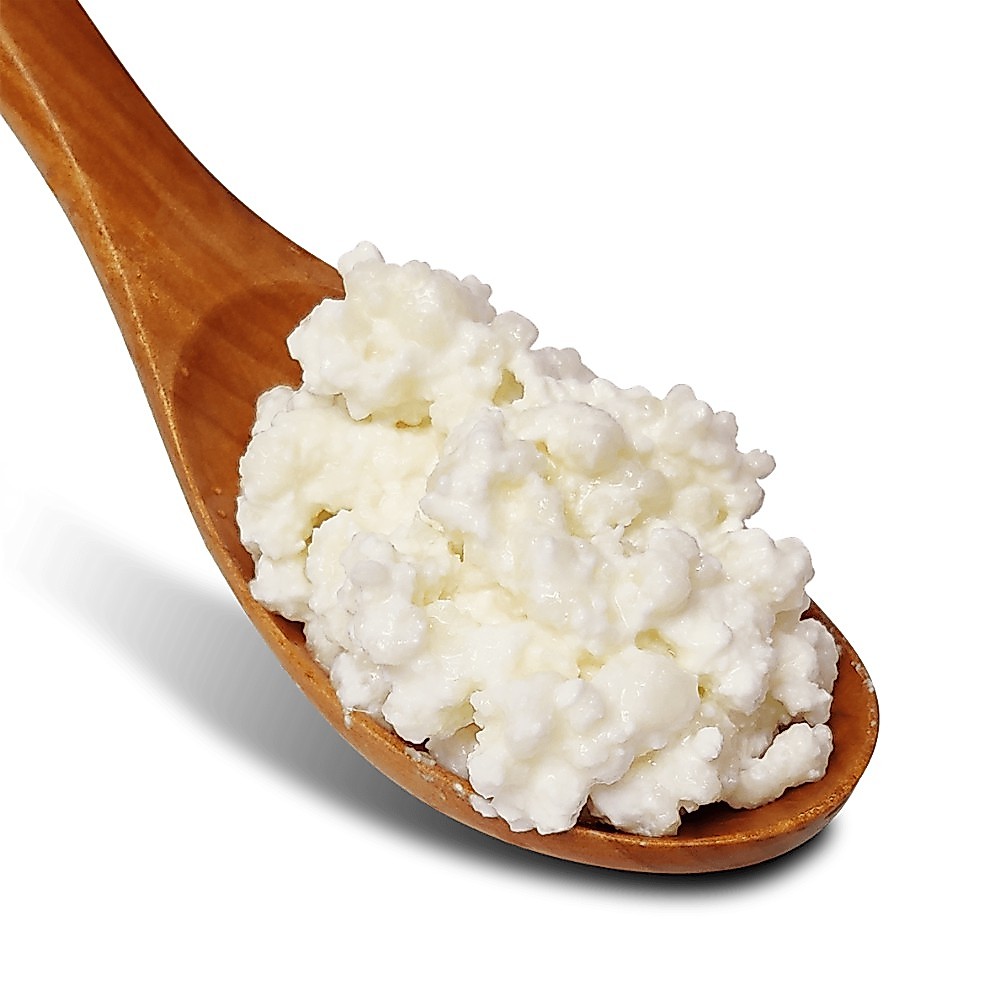 Buy kefir grain Products At Sale Prices Online - October 2026 | Shopee ...