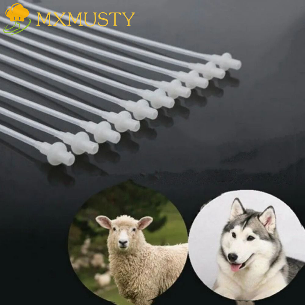 MXMUSTY 10pcs Canine Artificial Insemination Pipe, Professional ...
