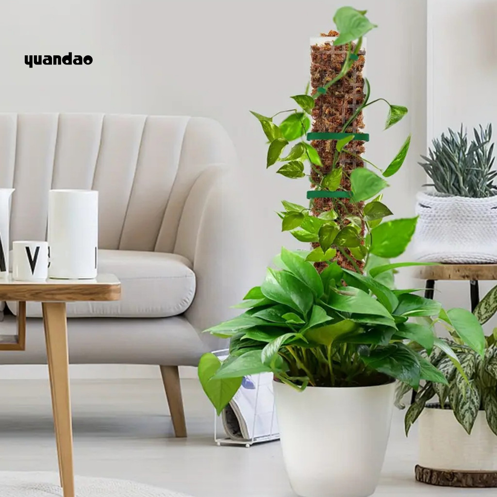 Yua_ Greener Leaves Plant Support Pole 24-inch Slim Moss Pole Easy ...