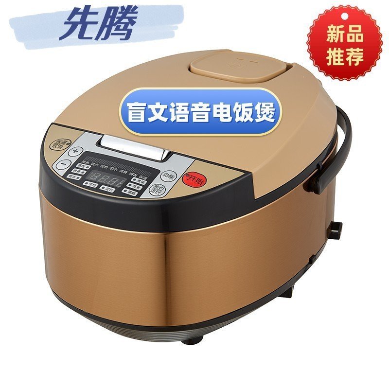 AI Smart Rice Cooker for Elderly, Low Vision, Blind People, Voice ...