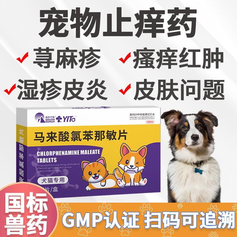 Cat Dog Eczema Dermatititis Dog Anti-itching Medicine Catermatism Dog ...