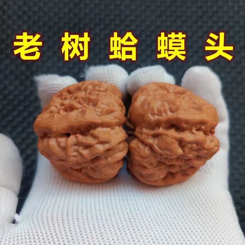 Yanqing Toad Head Practice Hand Pair Premium Wenwan Walnut Golden Toad ...