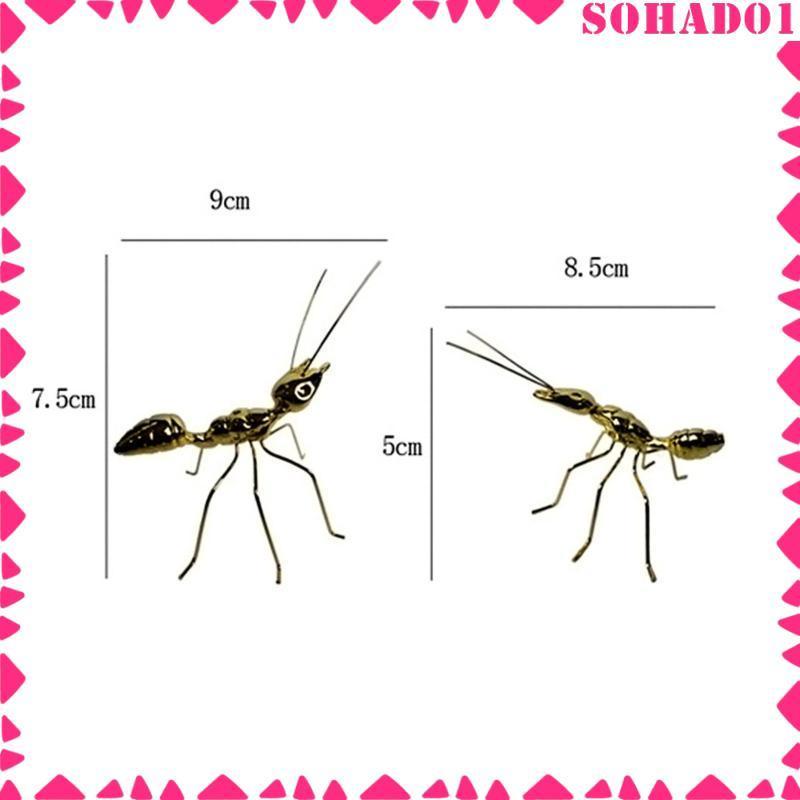 Buy golden ant Products At Sale Prices Online - October 2026 | Shopee ...